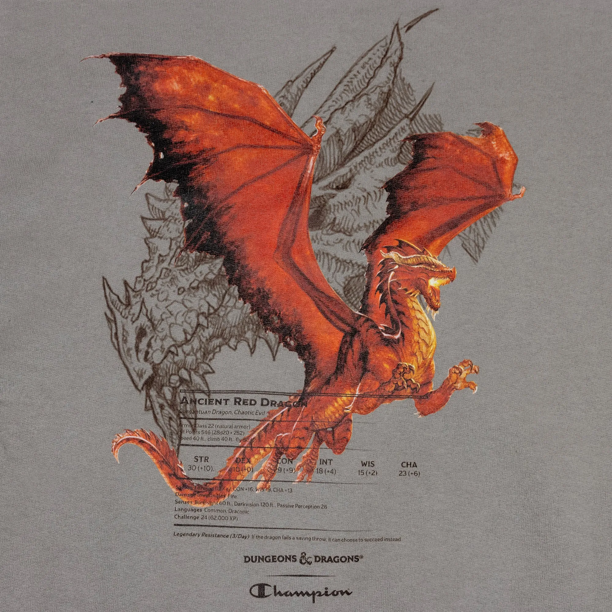 Dungeons & Dragons x Champion - Red Dragon Crewneck