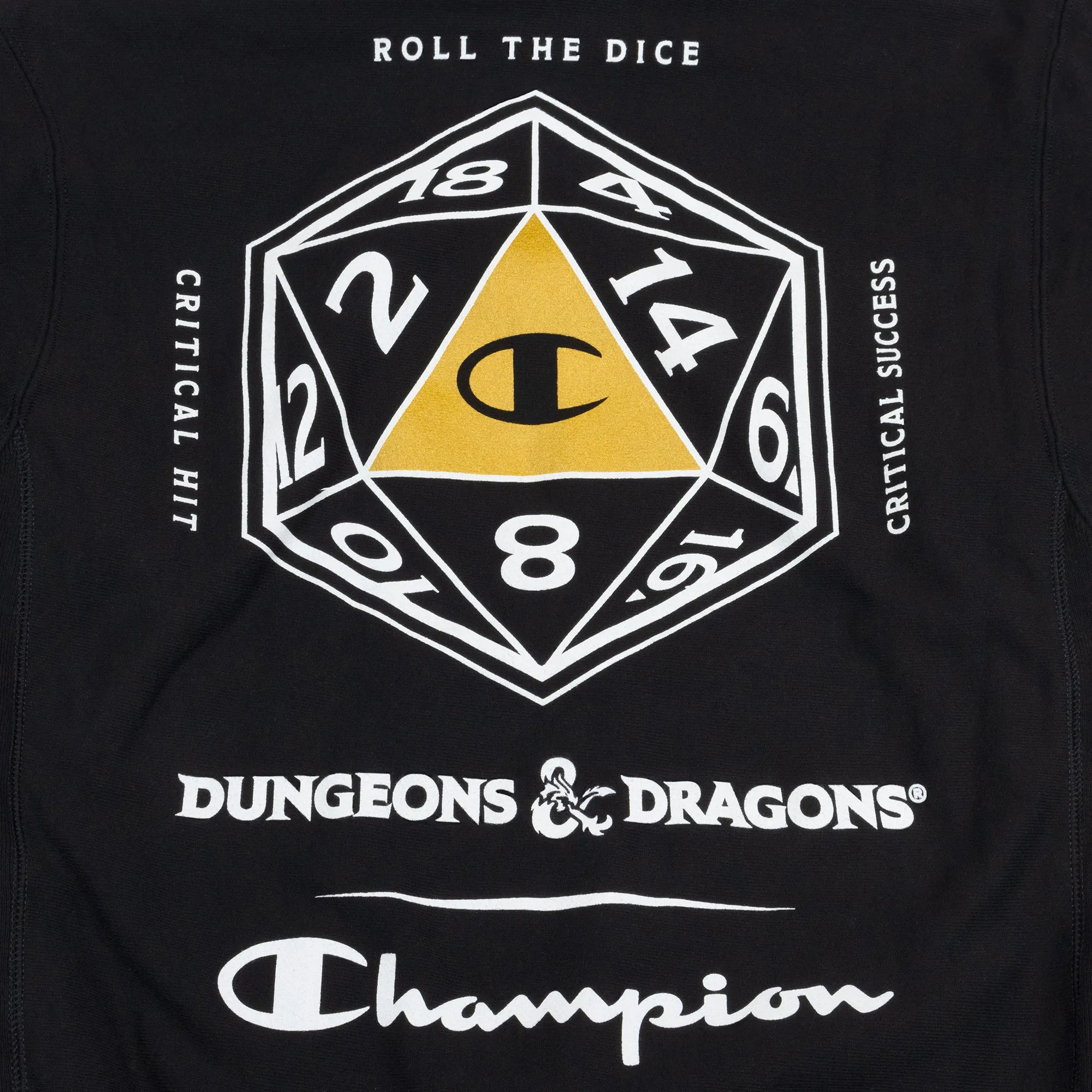 Dungeons & Dragons x Champion - Roll the Dice Hoodie