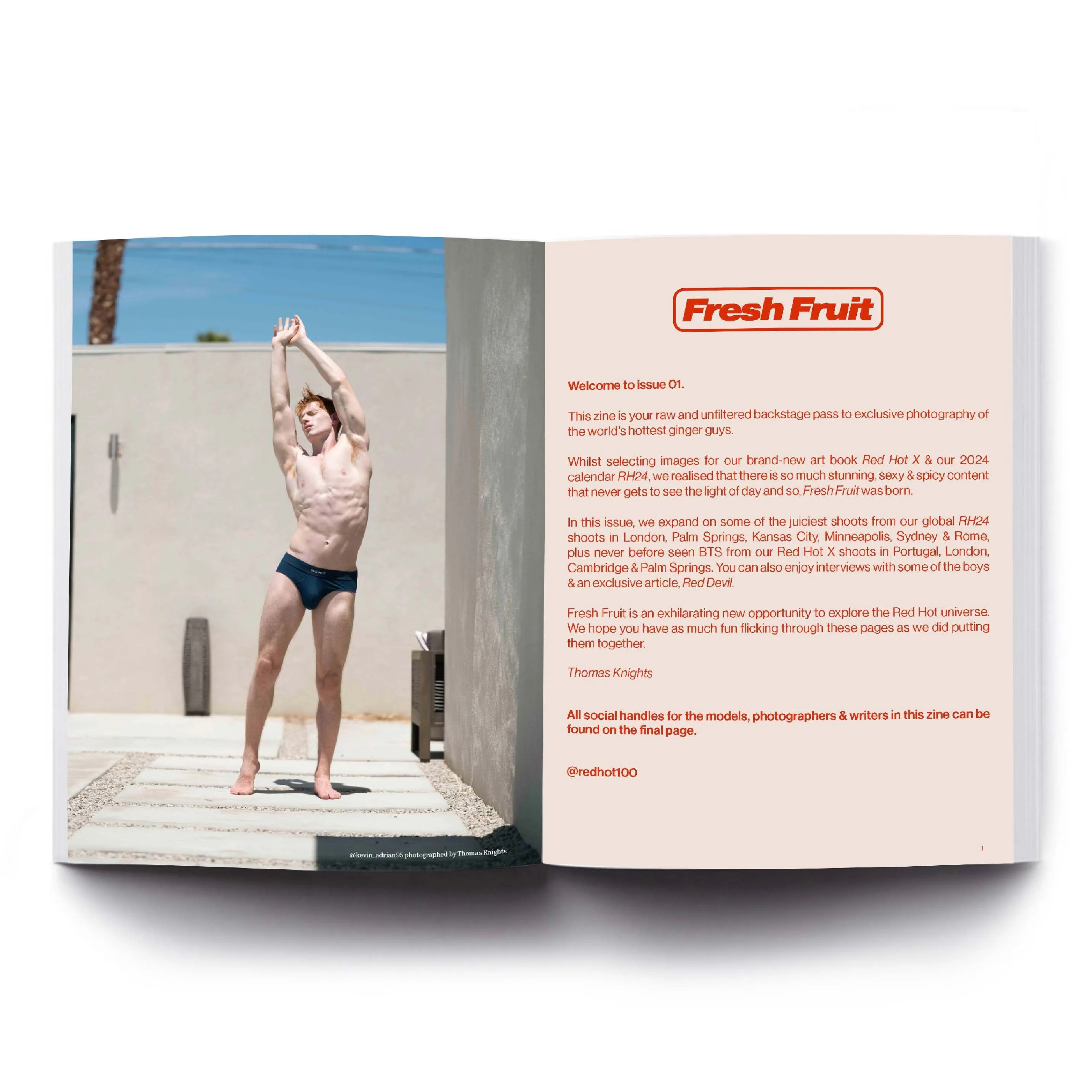 Fresh Fruit Zine 01