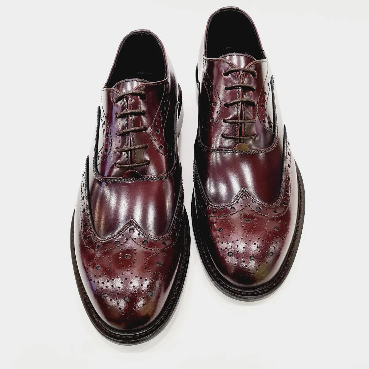 Les Poemes Uomo scarpa elegante Bordeaux art.21