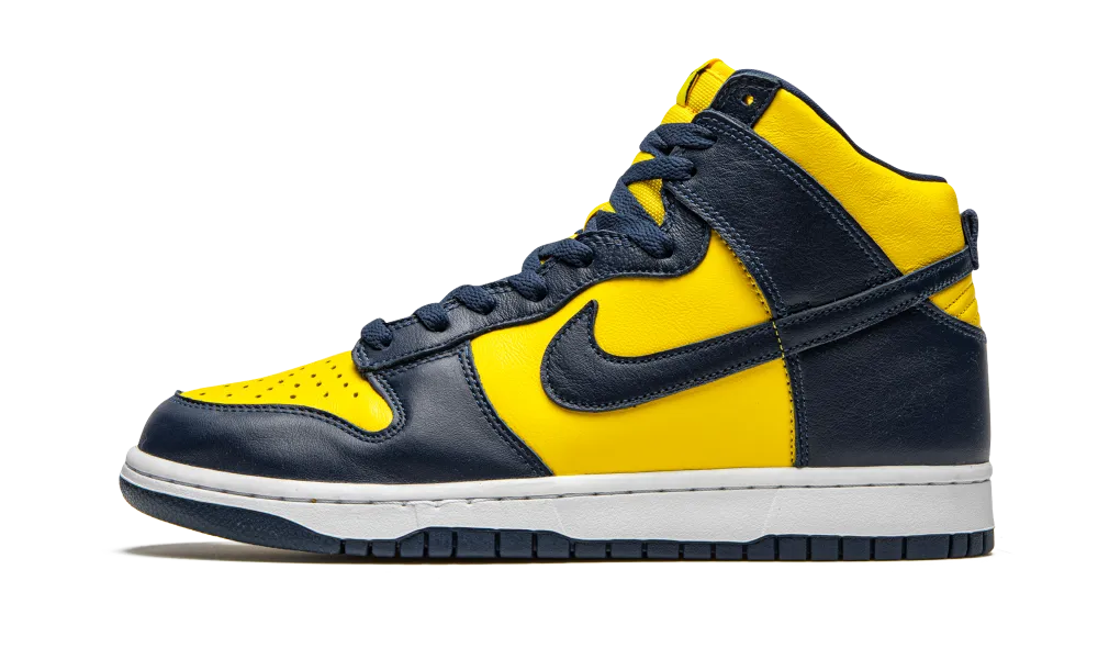 Nike Dunk High Michigan (2020)