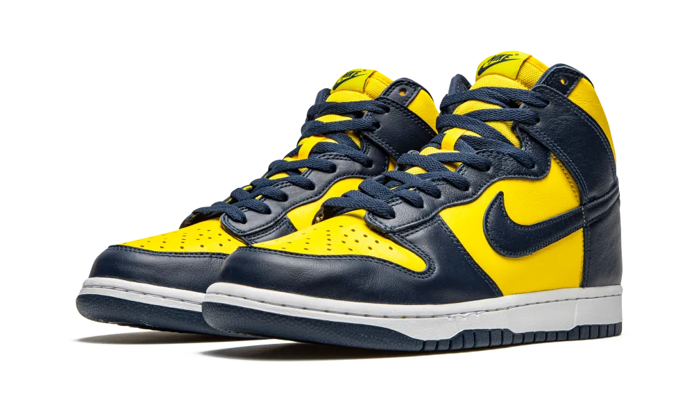 Nike Dunk High Michigan (2020)