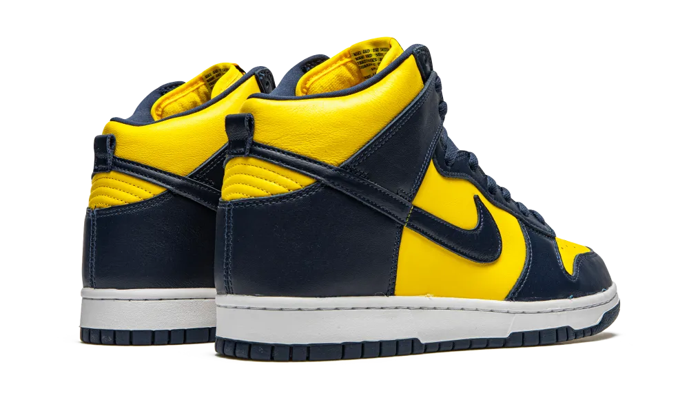 Nike Dunk High Michigan (2020)