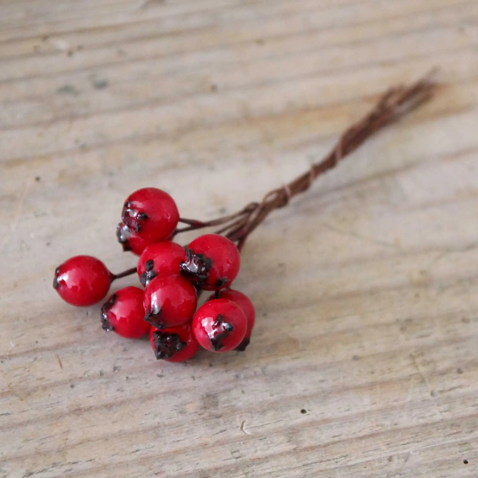 Red Berries on wire